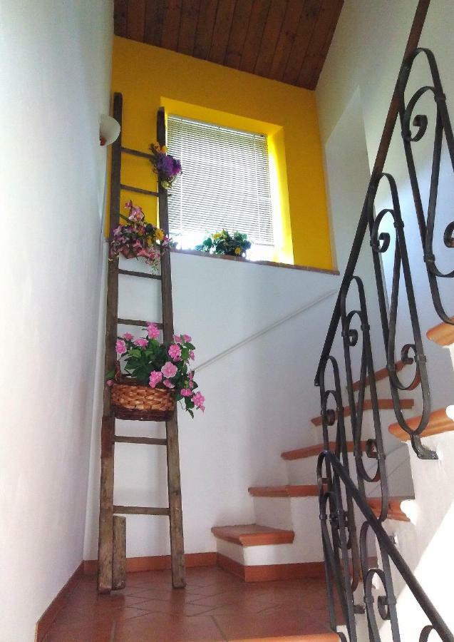 Casa Di Mamma Casa Vacanze 真加 外观 照片